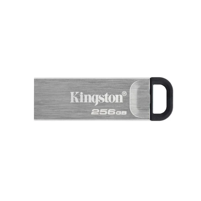 USB-накопитель Kingston DTKN/256GB 256GB Серебристый — изображение 2